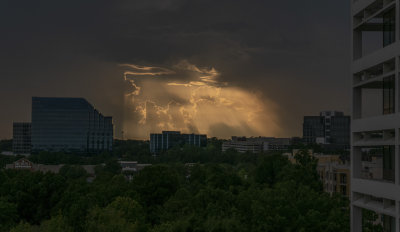 the view from my office deck, dunwoody, georgia