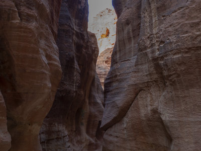 20181014_7506 copy.jpg