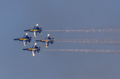 20181103_9338 copy.jpg