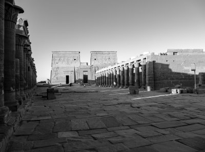 20181019_1392_bw copy.jpg