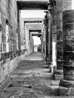 20181019_0619_bw copy.jpg