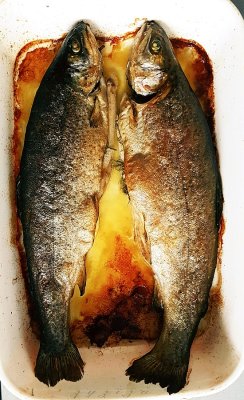 Nature morte (trout)