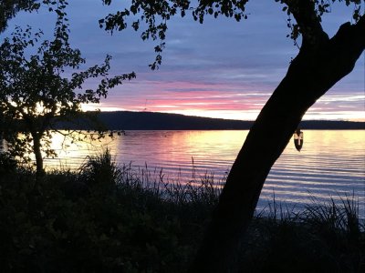 g10/82/798982/3/166293848.w3D48RsO.jpg