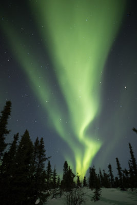 Alaska Auroras 2018