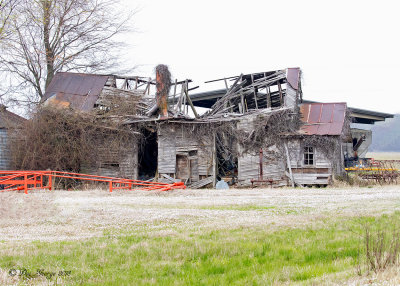 Abandoned farm house 