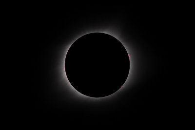 Inner Corona and  Prominences #2