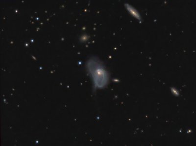 NGC 3921 (Arp 224)
