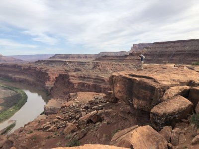 gooseneck860.jpg