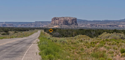 Kadzima(Enchanted Mesa)