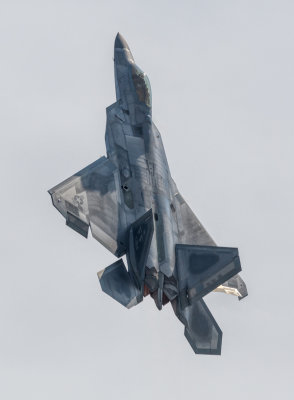 USAF F-22 Raptor