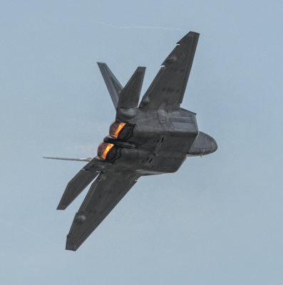 USAF F-22 Raptor