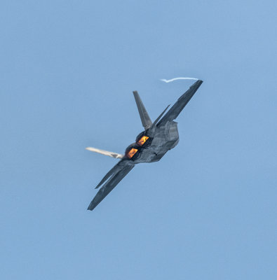 USAF F-22 Raptor