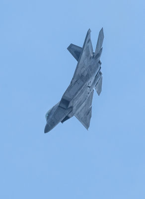 USAF F-22 Raptor