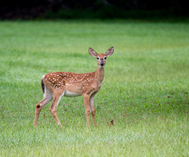_DSC2590s1080.jpg