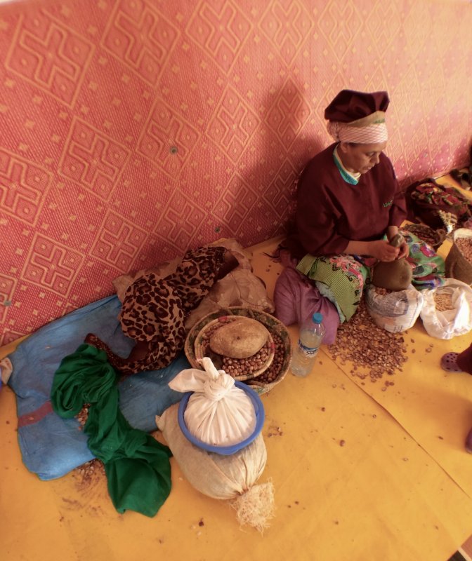 Fabrication de l'huile d'Argan