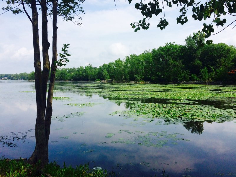 Parc de la rivire des Mille Iles, Laval