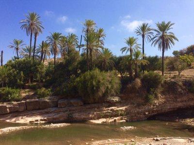 g10/83/550183/3/165875014.avvZleW4.jpg