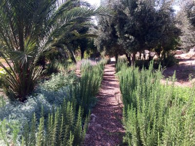 promenade dans le Haut Atlas en pays berbre