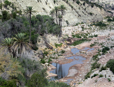 promenade dans le Haut Atlas en pays berbre