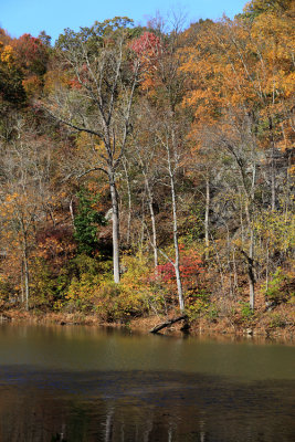 Fall by the lake