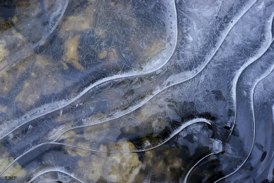 Shell Ice Abstract 