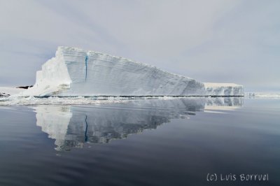 Iceberg3.jpg