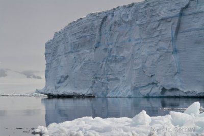 Iceberg4.jpg