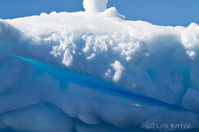 IcebergDetalle3.jpg