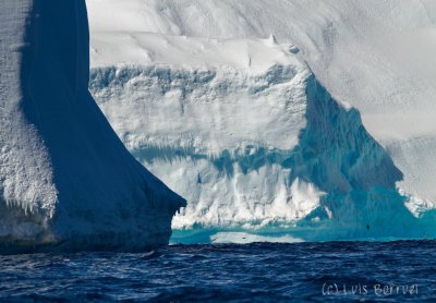 IcebergPajaro2.jpg