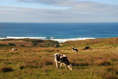 DSC_0858.jpg