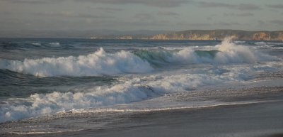DSC_0911.jpg