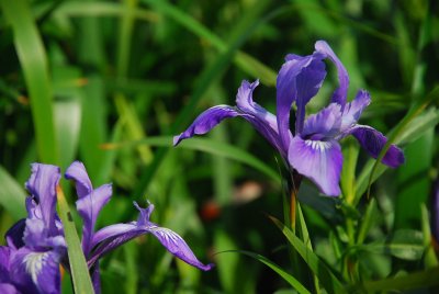 DSC_1058.jpg