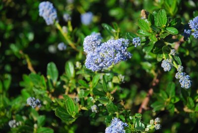 DSC_1064.jpg