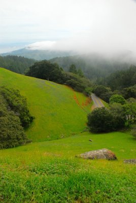 DSC_0160.jpg