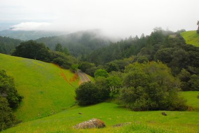 DSC_0161.jpg