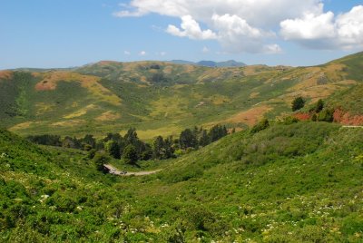 DSC_0414.jpg