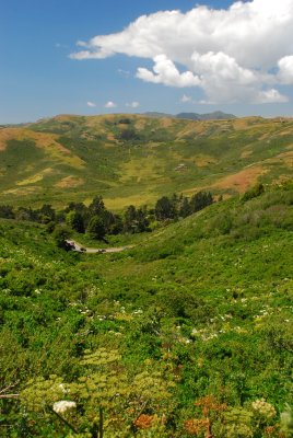 DSC_0415.jpg