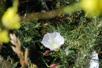 DSC_0474.jpg