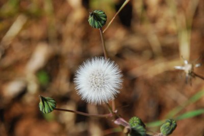 DSC_0553.jpg
