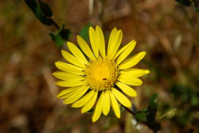 DSC_0562.jpg