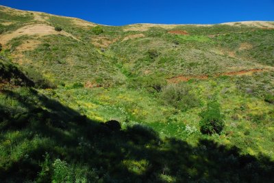 DSC_0590.jpg