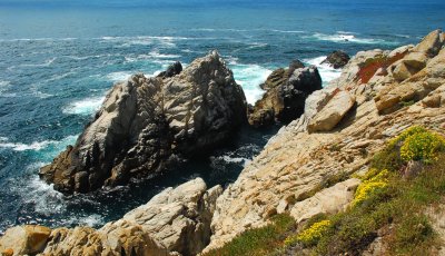 DSC_0869.jpg