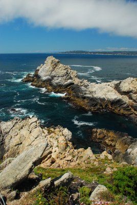 DSC_0875.jpg