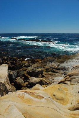 DSC_0881.jpg