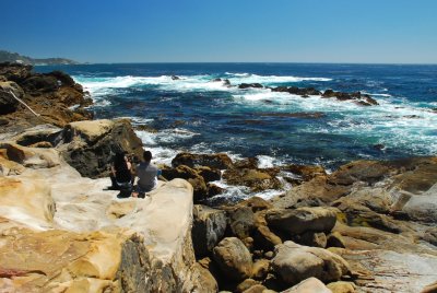 DSC_0882.jpg