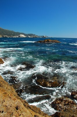 DSC_0910.jpg