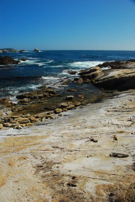 DSC_0944.jpg