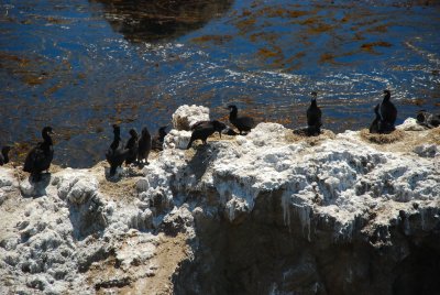 DSC_0029.jpg