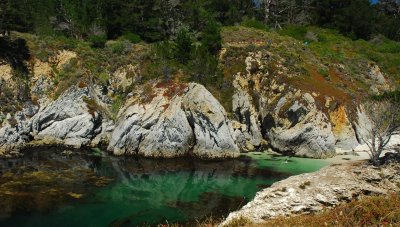 DSC_0036.jpg