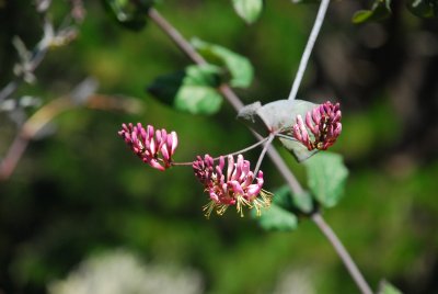 DSC_0048.jpg